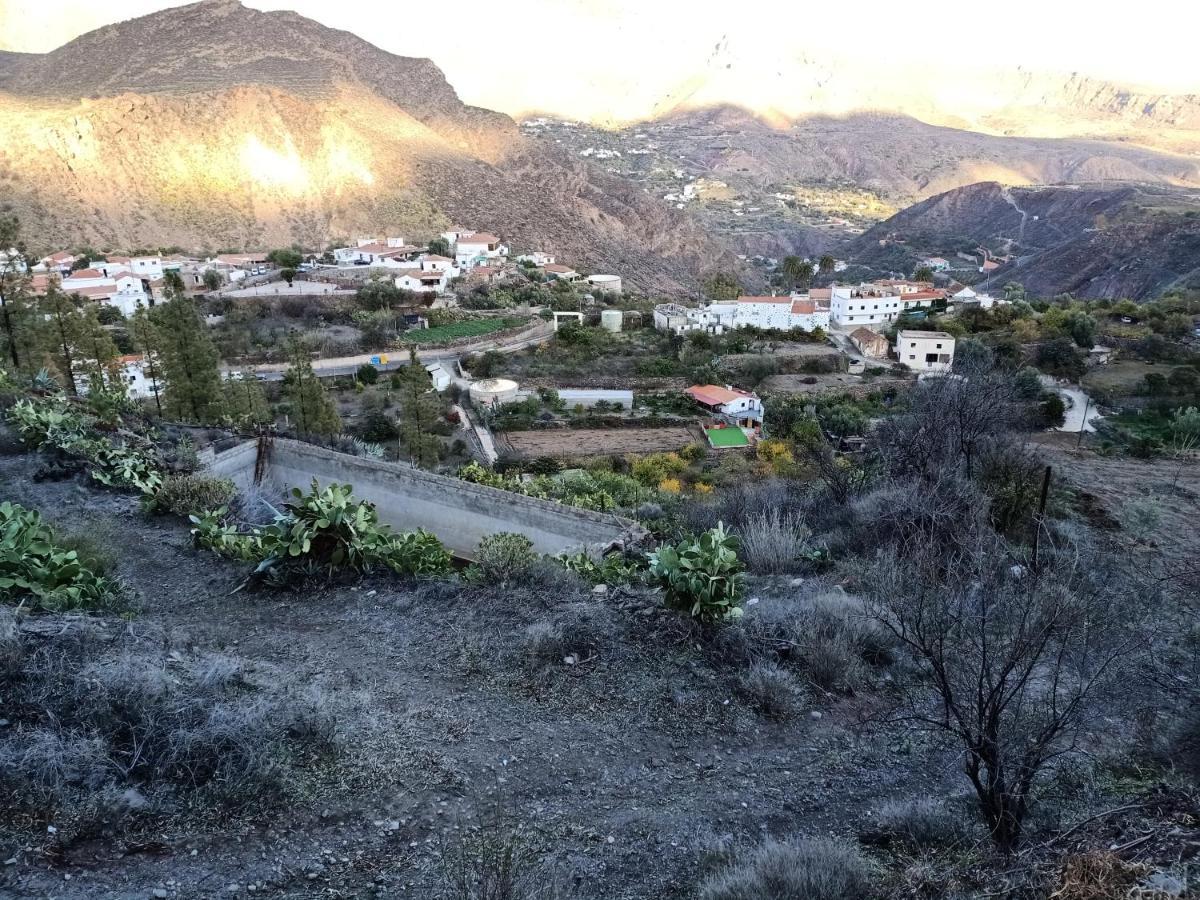 Casa Rural La Hoyita De Tunte San Bartolome Bagian luar foto