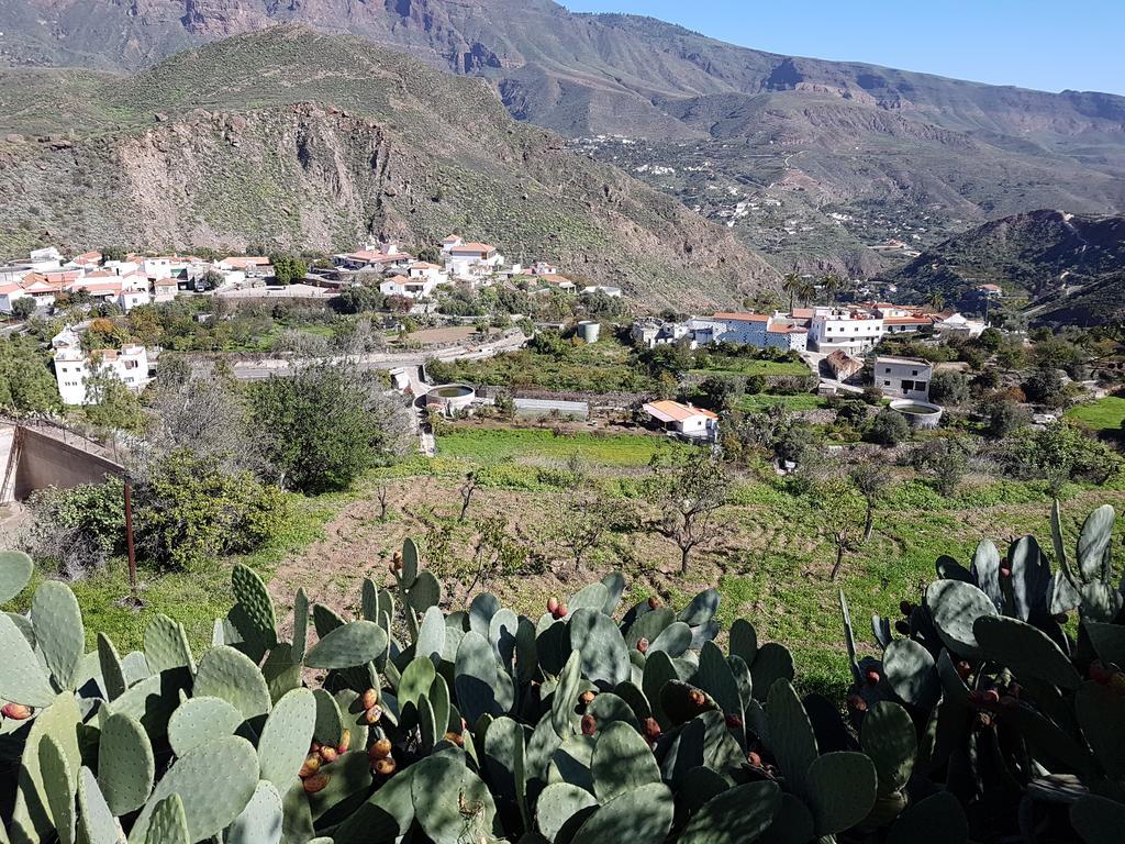 Casa Rural La Hoyita De Tunte San Bartolome Bagian luar foto