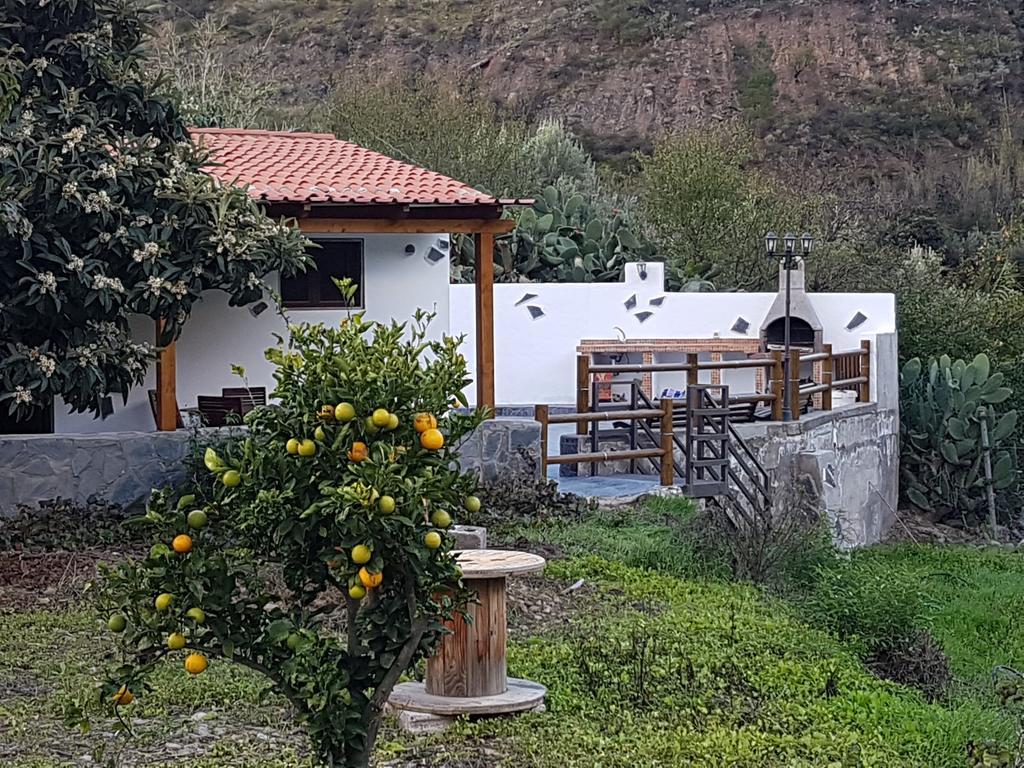 Casa Rural La Hoyita De Tunte San Bartolome Bagian luar foto