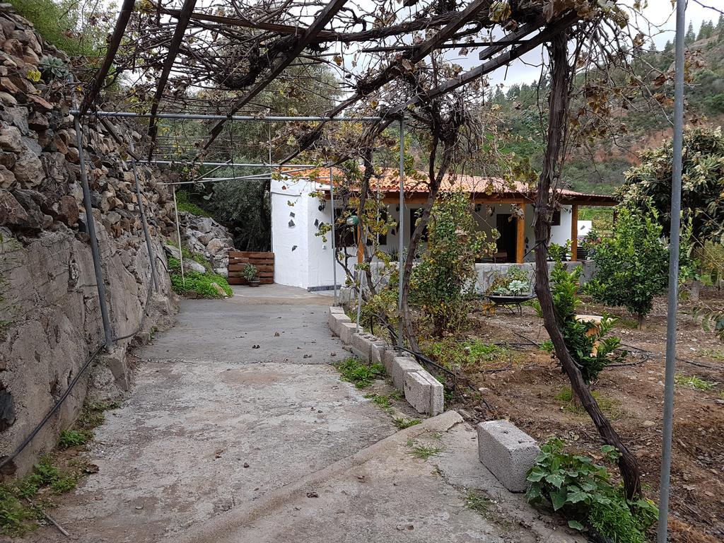 Casa Rural La Hoyita De Tunte San Bartolome Bagian luar foto