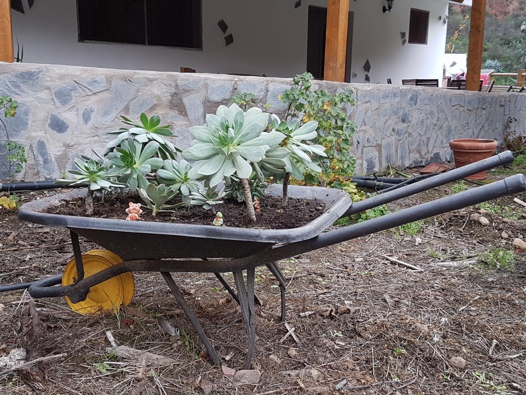 Casa Rural La Hoyita De Tunte San Bartolome Bagian luar foto