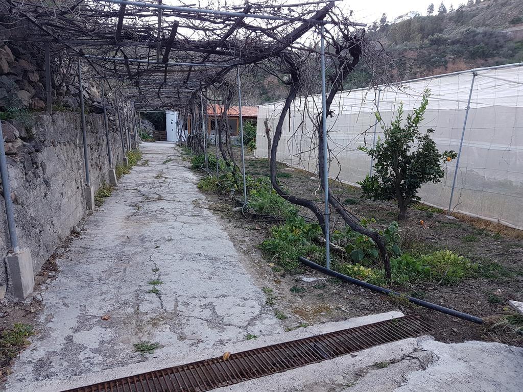 Casa Rural La Hoyita De Tunte San Bartolome Bagian luar foto