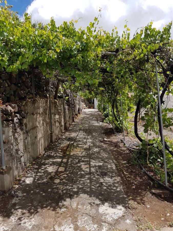 Casa Rural La Hoyita De Tunte San Bartolome Bagian luar foto