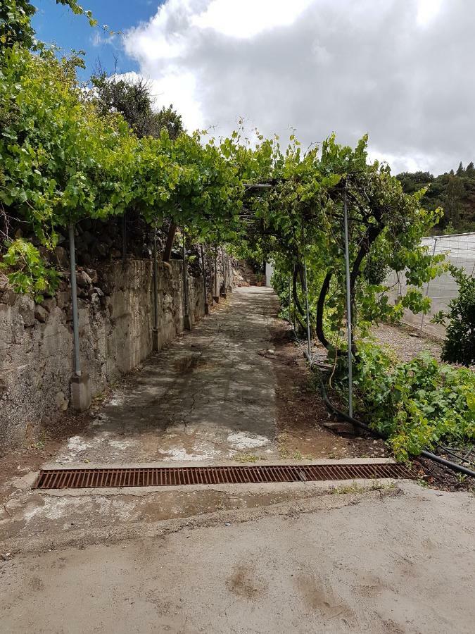 Casa Rural La Hoyita De Tunte San Bartolome Bagian luar foto