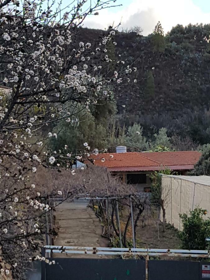 Casa Rural La Hoyita De Tunte San Bartolome Bagian luar foto